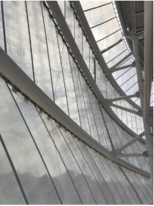 HSS Insider - Apr. 2024 - Curved HSS 2 Curved Round HSS Allianz Field